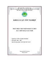 Phát hiện vius bệnh dịch tả heo dựa trên đoạn gen NS5B