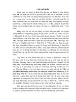 Một số Giải pháp Marketing nhằm nâng cao năng lực cạnh tranh của Cty cổ phần thép Việt- ý