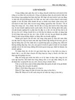 Thực trạng tổ chức kế toán của Cty dược thú y