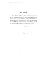 Mô hình rút trích cụm từ đặc trưng ngữ nghĩa trong tiếng việt 10