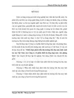 Chiến lược phát triển thị trường tiêu thụ máy tính xách tay tại Việt Nam của Công ty cổ phần thiết bị tổng hợp máy văn phòng Sara