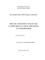  điều tra thành phần loài sâu hại và thiên địch của chúng trên ruộng lúa tỉnh bình định