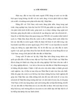 DT078 - Các chính sách của Việt Nam trong việc thu hút FDI nói chung và từ Nhật Bản nói riêng