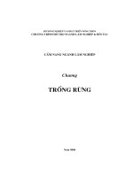 Trồng rừng