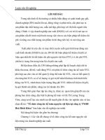 Tổ chức công tác kế toán nguyên vật liệu tại công ty TNHH Hoá Bách Khoa