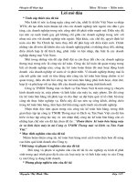 Hoàn thiện kế toán bán hàng máy in và linh kiện máy in tại Công ty TNHH Thương mại và Dịch vụ Tân Nam Việt (2008)