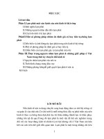 lạm phát và các biện pháp khắc phục nhằm giảm lạm phát trong thời kỳ kinh tế mở và phát triển một cách đồng bộ ở Việt Nam