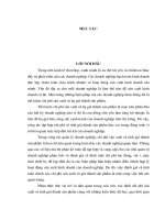Hoàn thiện kế toán chi phí sản xuất và tính giá thành sản phẩm tại Công ty cổ phần đá ốp lát và xây dựng Hà Tây