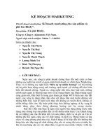 Kế hoạch marketing cho sản phẩm cà phê lon Birdy