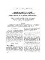 Nghiên cứu hóa học cây bọ mẩy