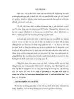 Một số giải pháp cơ bản phát triển dịch vụ thông tin hỗ trợ các hoạt động thương mại nước ta giai đoạn hiện nay