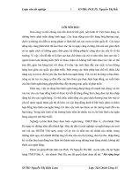 Mở rộng hoạt động bảo lãnh tại chi nhánh ngân hàng TMCP Bắc Á chi nhánh Thái Hà 