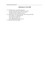 Tài liệu Giờ sinh hoạt tập thể lớp 3 - Tuần 20