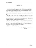 Kế toán tiêu thụ và xác định kết quả kinh doanh tại công ty cổ phần Tin Học .doc