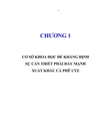 Một số giải pháp để đẩy mạnh xuất khẩu cà phê UTZ