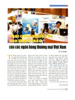 Phát triển nghiệp vụ bao thanh toán của các ngân hàng thương mại Việt Nam