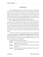 Giải pháp nâng cao khả năng cạnh tranh của công ty TNHH XNK Thành Nam