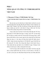 Thực trạng kiểm toán chu trình tiền lương - nhân viên trong kiểm toán báo cáo tài chính do công ty kiểm toán deloitte việt nam
