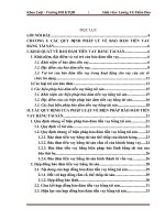 Pháp luật về đảm bảo tiền vay bằng tài sản và thực tiễn áp dụng tại Ngân hàng TMCP Kỹ thương Việt Nam