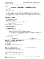 Giáo án môn tự nhiên xã hội lớp 3 - tuần 30