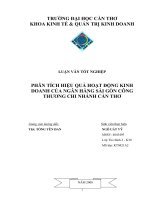Phân tích hiệu quả hoạt động kinh doanh của NH Sài Gòn công thương chi nhánh Cần Thơ