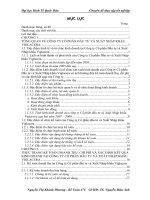 Hoàn thiện kế toán doanh thu, chi phí và xác định kết quả kinh doanh tại Công ty Cổ phần Đầu tư và Xuất Nhập khẩu Viglacera