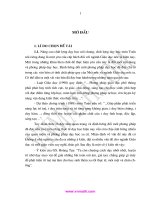 Phối hợp rèn luyện kỹ năng giải toán phương trình với phát triển tư duy hàm