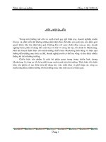 Marketing- chiến lược dãy sản phẩm - chiến lược hỗn hợp sản phẩm