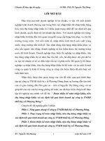 Hoàn thiện kế toán nhập khẩu, tiêu thụ hàng nhập khẩu và xác định