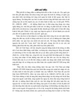 Hoàn thiện chính sách thương mại xuất khẩu dưới góc độ tiếp cận các chỉ tiêu tài chính trong lộ trình việt nam gia nhập AFTA