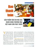 Bao thanh toán sản phẩm tiện ích mà các ngân hàng thương mại Việt Nam cần phát triển