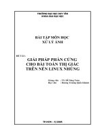 Giải pháp phần cứng cho bài toán thị giác trên nền linux nhúng