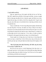 Một số giải pháp hoàn thiện Marketing xuất khẩu sang thị trường EU của công ty cổ phần May 10