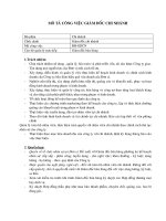 Giám đốc chi nhánh