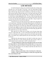 Tổ chức hệ thống hồ sơ kiểm toán trong kiểm toán báo cáo tài chính tại Công ty Dịch vụ tư vấn tài chính, kế toán và kiểm toán