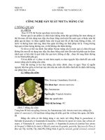 Công nghệ sản xuất necta mãng cầu