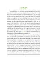 Hoàn thiện kế toán tiêu thụ và xác định kết quả tiêu thụ hàng hóa tại Công ty Cổ phần thiết bị phụ tùng cơ điện