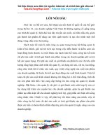 Kế toán nguyên vật liệu tai cty Co kho dien thuy loi -  .doc