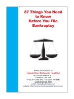 87 Things You Need to know Before You File Before You File  