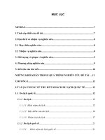 một số giải pháp nhằm tăng cường thu hút khách du lịch quốc tế vào Việt Nam