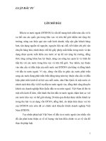 thức trạng ban hành và thực thi pháp luật về đầu tư ra nước ngoài.doc