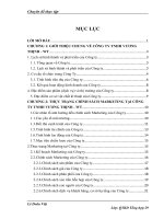 Hoàn thiện chính sách Marketing tại Công Ty TNHH Vương Thịnh - WT