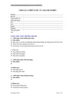 Hướng dẫn chiến lược kinh doanh c11