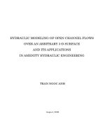 Hydraulic modeling of open channel flows over an arbitrary 3-d surface and its applications in amenity hydraulic engineering