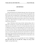 Xây dựng và phát triển thương hiệu cho sản phẩm Đèn Halogen của Công ty Bách Tuyến