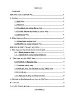 Nợ công ở Việt Nam