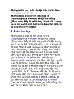 Thông hai lá dẹt, loài cây đặc hữu ở Việt Nam 