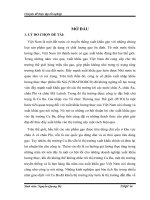 Giải pháp đẩy mạnh xuất khẩu gạo sang thị trường Cu Ba của công ty cổ phần xuất nhập khẩu lương thực thực phẩm Hà Nội