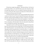 Một số giải pháp nhằm thu hút vốn đầu tư và nâng cao hiệu quả hoạt động của các KCN tập trung ở Quảng Ngãi (70 trang).pdf