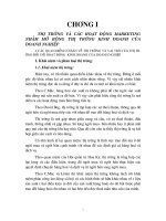 Thị trường và các hoạt động Marketing nhằm mở rộng thị trường kinh doanh của Doanh nghiệp